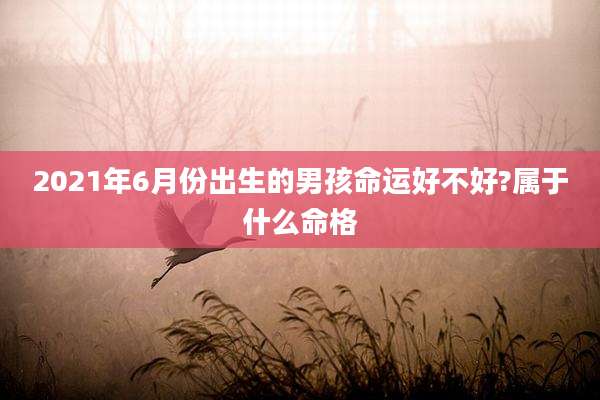 2021年6月份出生的男孩命运好不好?属于什么命格