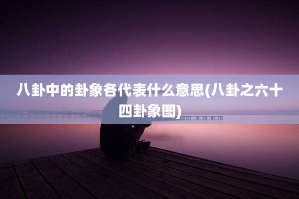 八卦中的卦象各代表什么意思(八卦之六十四卦象图)