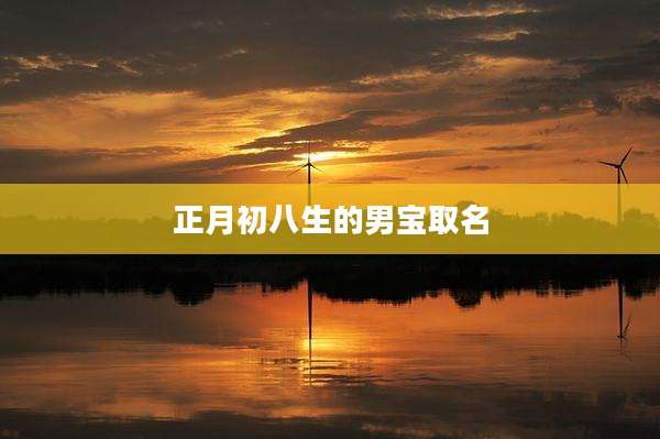 正月初八生的男宝取名