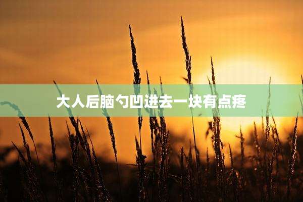 大人后脑勺凹进去一块有点疼