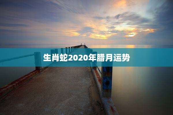 生肖蛇2020年腊月运势