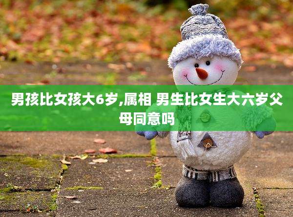 男孩比女孩大6岁,属相 男生比女生大六岁父母同意吗