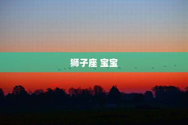 狮子座 宝宝