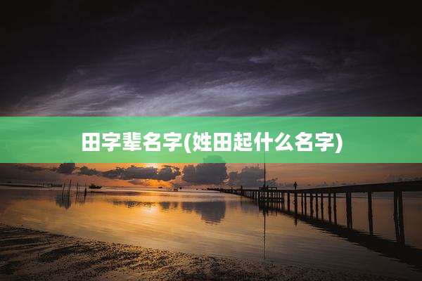 田字辈名字(姓田起什么名字)
