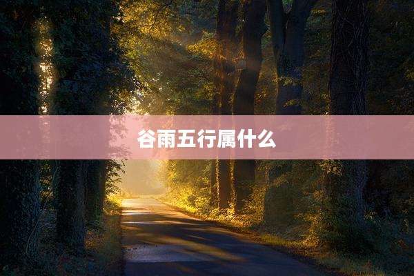 谷雨五行属什么