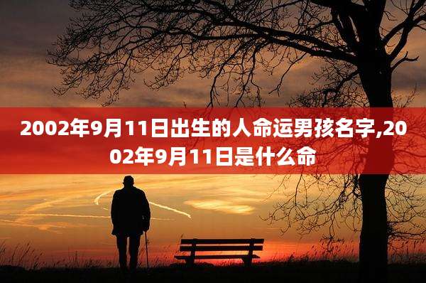 2002年9月11日出生的人命运男孩名字,2002年9月11日是什么命