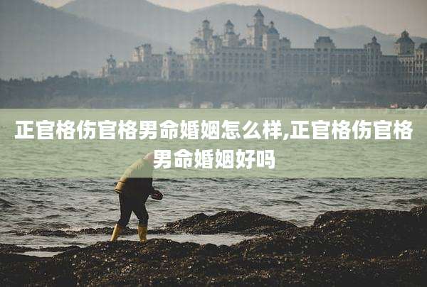 正官格伤官格男命婚姻怎么样,正官格伤官格男命婚姻好吗