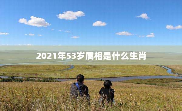 2021年53岁属相是什么生肖