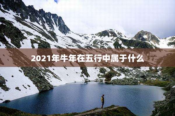 2021年牛年在五行中属于什么