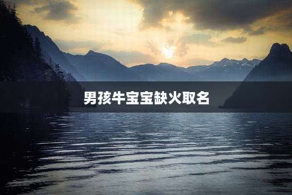 男孩牛宝宝缺火取名