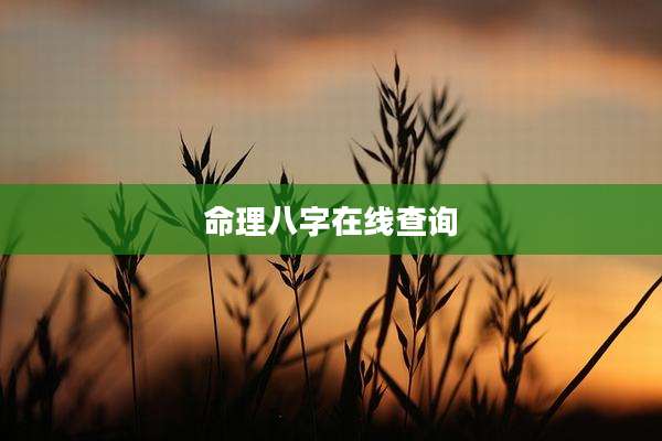 命理八字在线查询