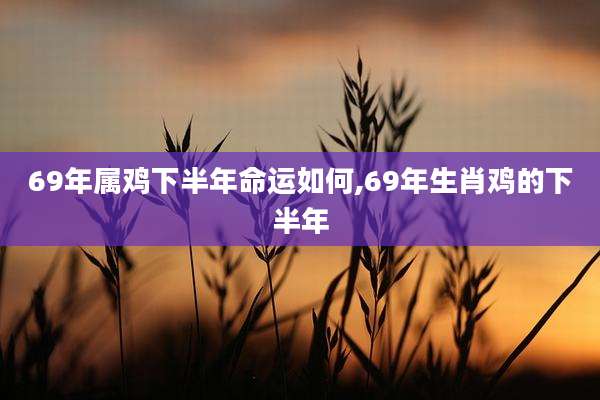 69年属鸡下半年命运如何,69年生肖鸡的下半年