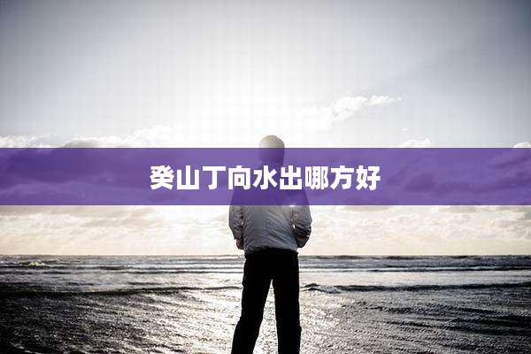 癸山丁向水出哪方好