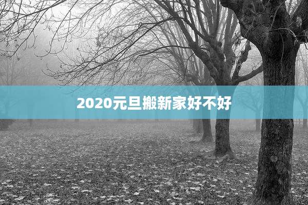 2020元旦搬新家好不好