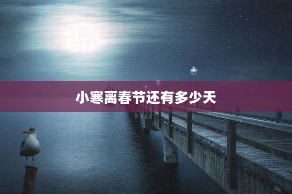 小寒离春节还有多少天