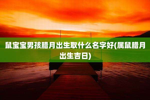 鼠宝宝男孩腊月出生取什么名字好(属鼠腊月出生吉日)