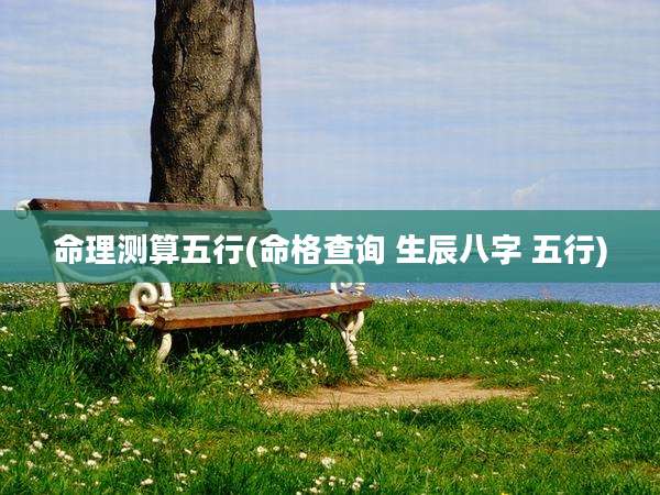 命理测算五行(命格查询 生辰八字 五行)
