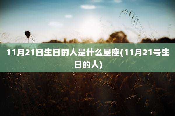 11月21日生日的人是什么星座(11月21号生日的人)