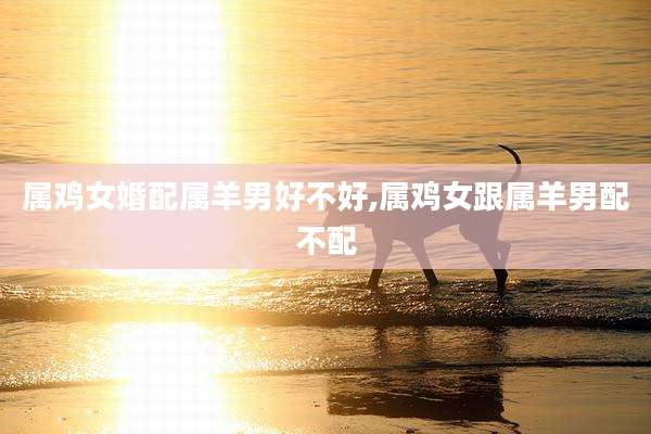 属鸡女婚配属羊男好不好,属鸡女跟属羊男配不配
