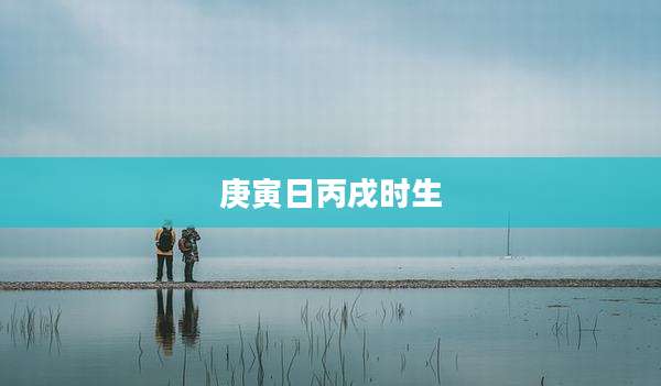 庚寅日丙戌时生