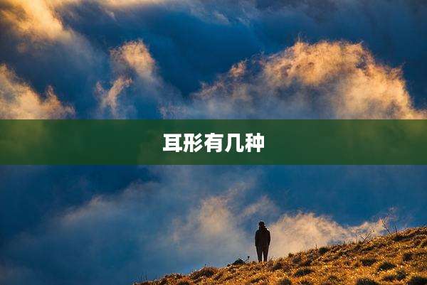 耳形有几种