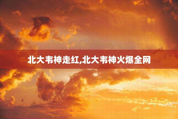 北大韦神走红,北大韦神火爆全网