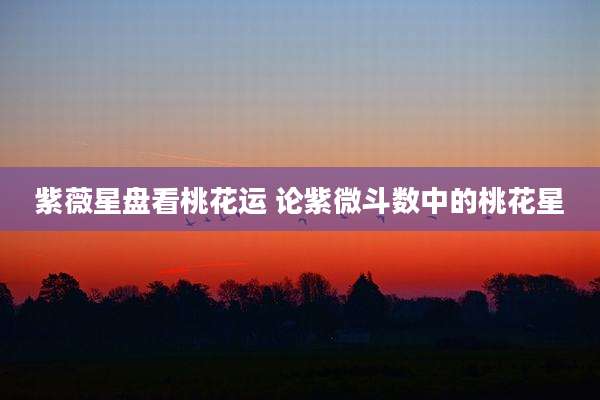 紫薇星盘看桃花运 论紫微斗数中的桃花星