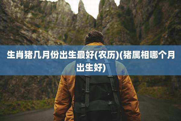 生肖猪几月份出生最好(农历)(猪属相哪个月出生好)