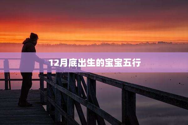 12月底出生的宝宝五行