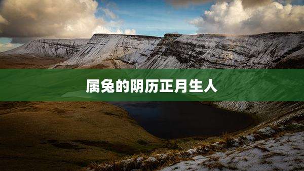 属兔的阴历正月生人