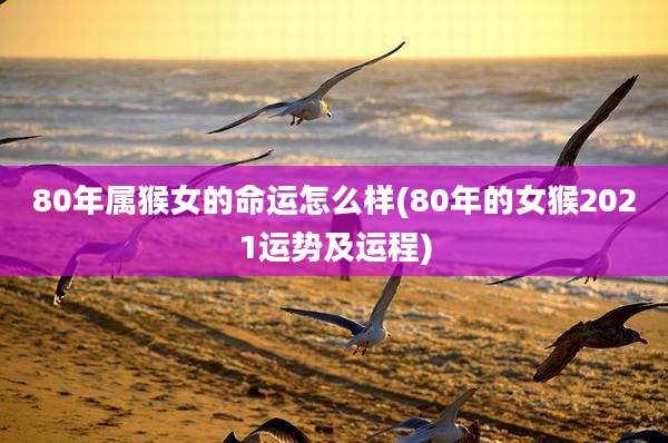 80年属猴女的命运怎么样(80年的女猴2021运势及运程)