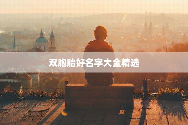 双胞胎好名字大全精选