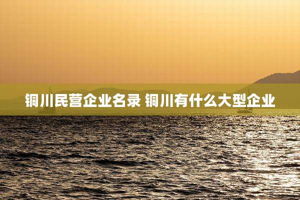 铜川民营企业名录 铜川有什么大型企业