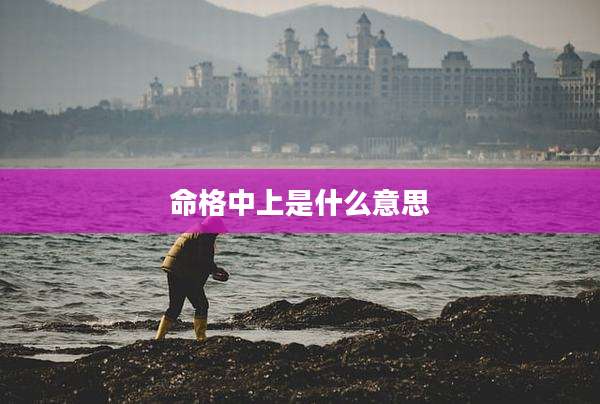 命格中上是什么意思