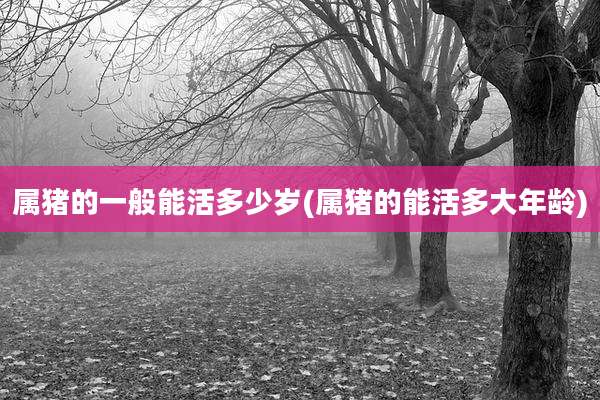 属猪的一般能活多少岁(属猪的能活多大年龄)