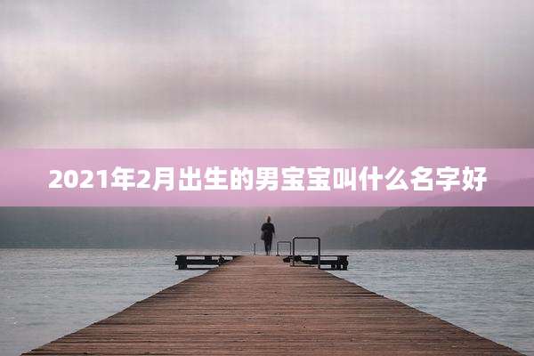2021年2月出生的男宝宝叫什么名字好