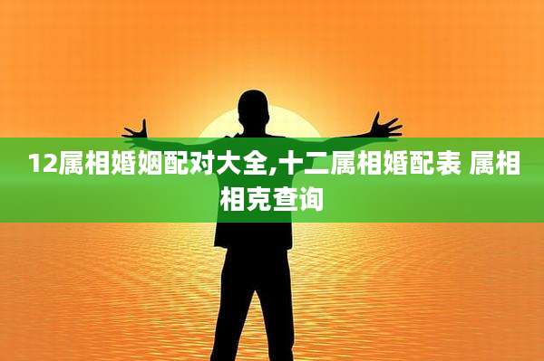 12属相婚姻配对大全,十二属相婚配表 属相相克查询