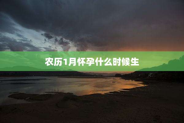 农历1月怀孕什么时候生