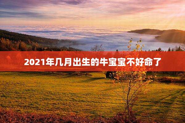 2021年几月出生的牛宝宝不好命了