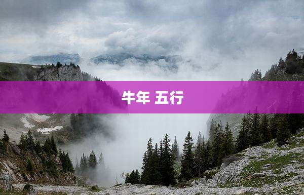 牛年 五行