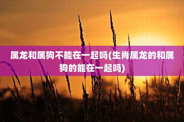 属龙和属狗不能在一起吗(生肖属龙的和属狗的能在一起吗)