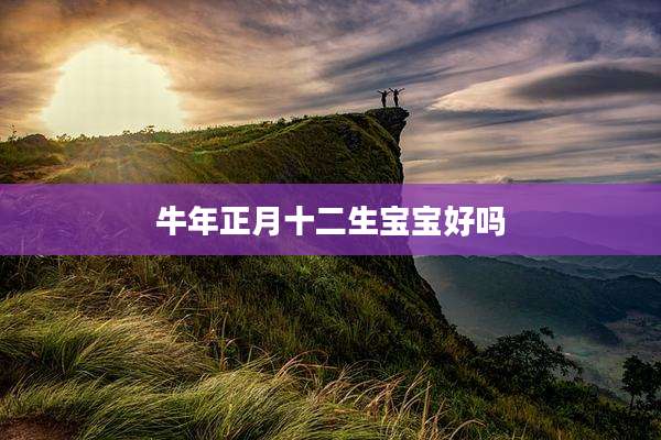 牛年正月十二生宝宝好吗