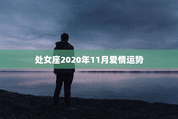 处女座2020年11月爱情运势