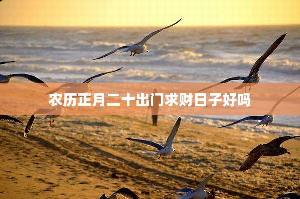 农历正月二十出门求财日子好吗