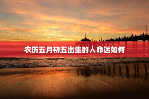 农历五月初五出生的人命运如何