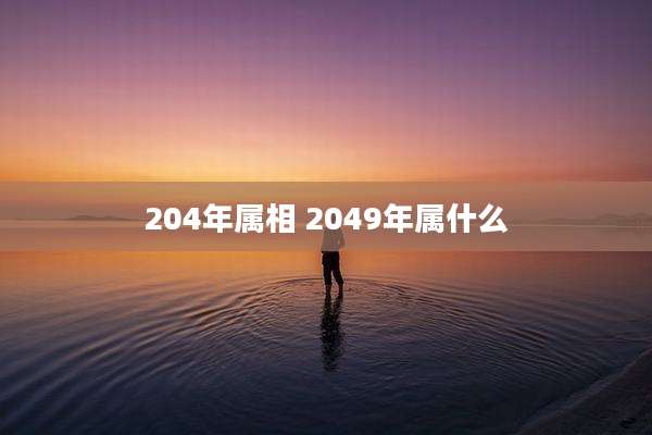 204年属相 2049年属什么