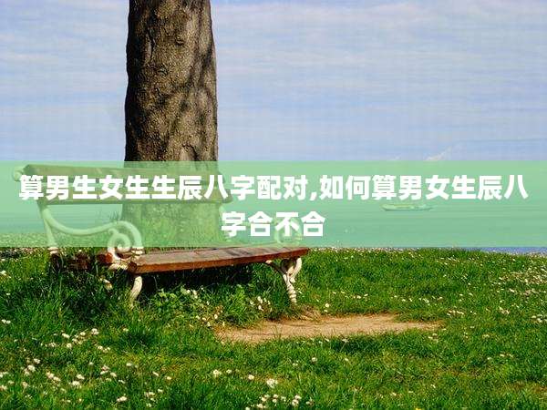 算男生女生生辰八字配对,如何算男女生辰八字合不合