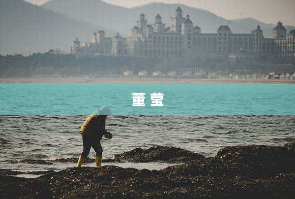 董 莹