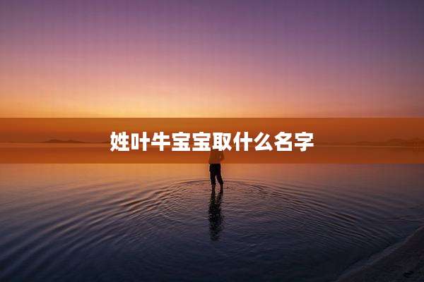 姓叶牛宝宝取什么名字