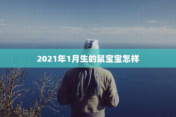 2021年1月生的鼠宝宝怎样
